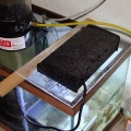 Refugium
