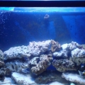 Updated pic after more aquascaping 9/4/08