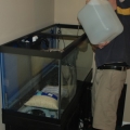 water