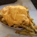 The Wieners Circle fries