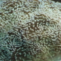 hammer 03 30 08
