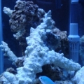 Side view of the tank