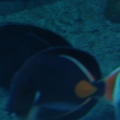 7648
