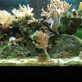 full tank