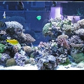 DSCN1424