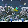 DSCN1425