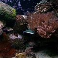 scape1208 001