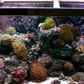 scape1208 004