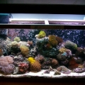 scape1208 005