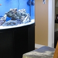 3reeftankshot