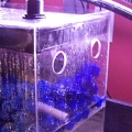 Refugium 001