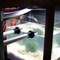 refugium 028