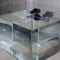 refugium 021