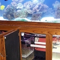 refugium 027