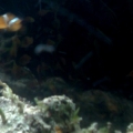 070911 221151