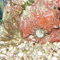 IMG 0016