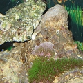 IMG 0018