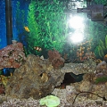 IMG 0019