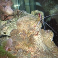 IMG 0021