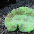 IMG 0025