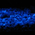 Trying out custom moodlights
