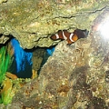 IMG 0056
