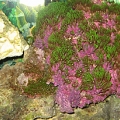 IMG 0059