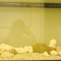 DSC02726 (Small)