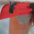 DSC03065 (Small)