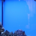 This is the first week I set it up...Iam starting slow