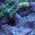 DSC00269