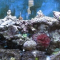 Full tank - 03/21/2009