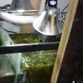 sump