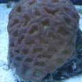 tank pics 2 004