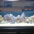 Added 15lbs of live rock today 4/4/09