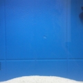 Photo 0160