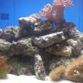 Photo 0008