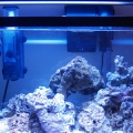 A few weeks later