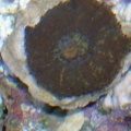 DSCN3690