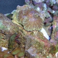 DSCN3691