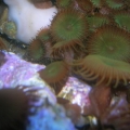 DSCN3692