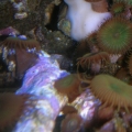 DSCN3693