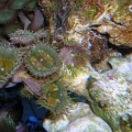 DSCN3696