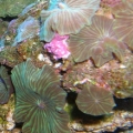 DSCN3697