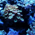 DSCN3707