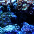 DSCN3710