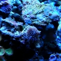 DSCN3714