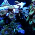 DSCN3719