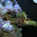 DSCN3737