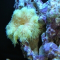 DSCN3738